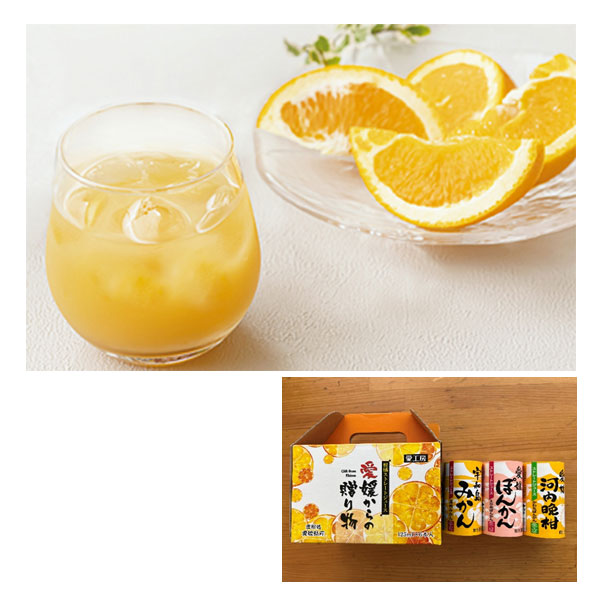 みかんジュース「愛媛からの贈り物」3種6本セット