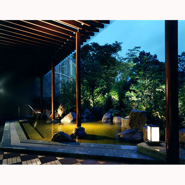 豊島園　庭の湯　入館券（大人2名）